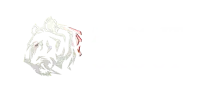 Zorg IT Group